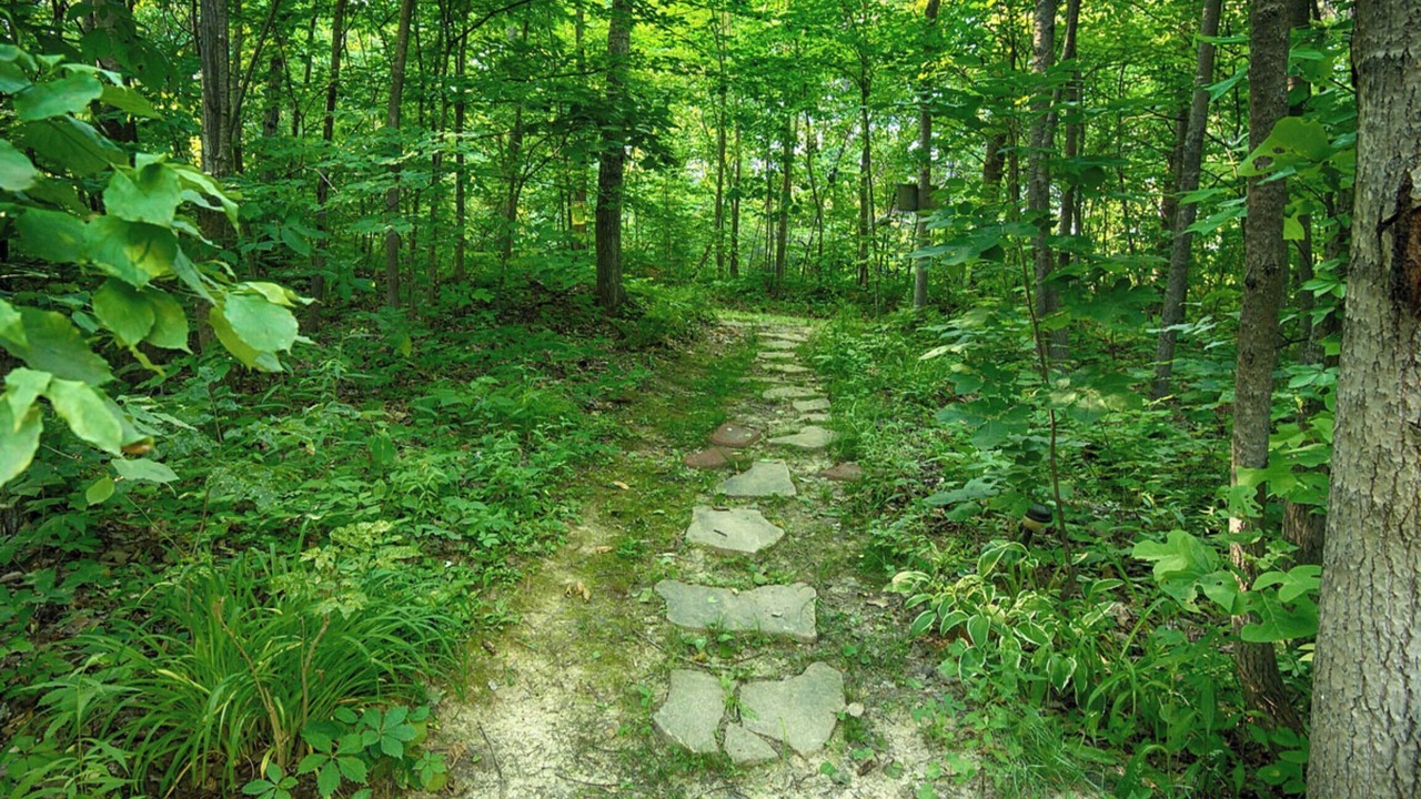Photo of Outdoor in Nelsonville