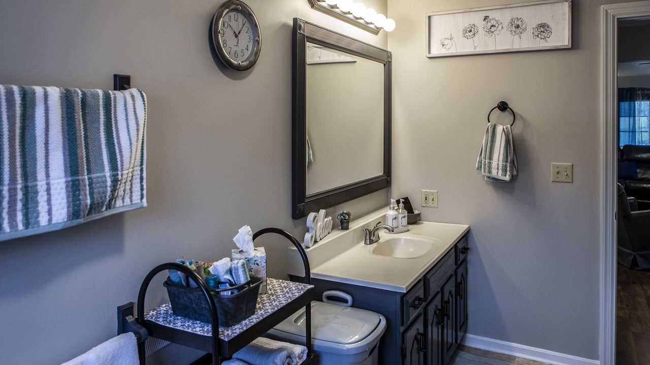 Photo of Bathroom in Blissfield