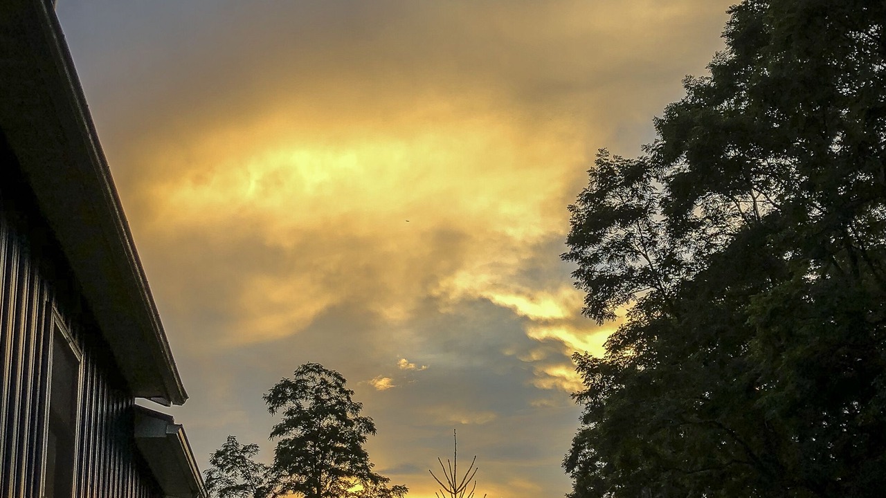Photo of Outdoor in Blissfield