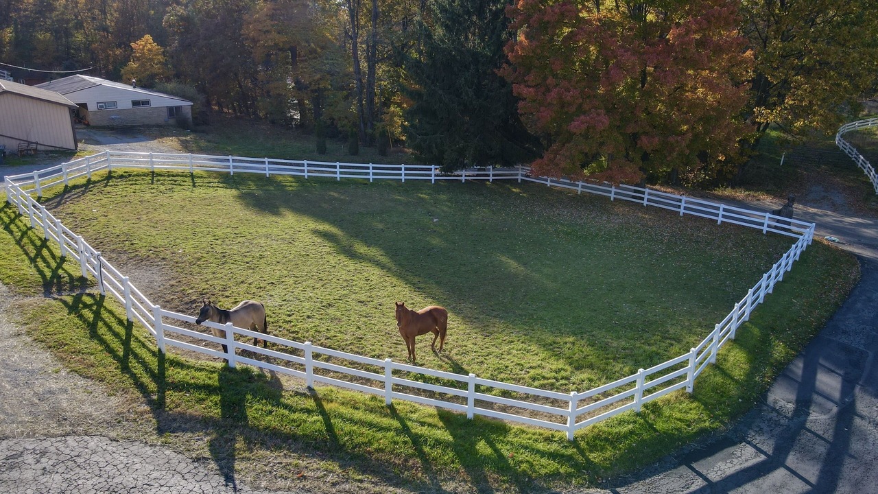 Photo of Others in Somerdale