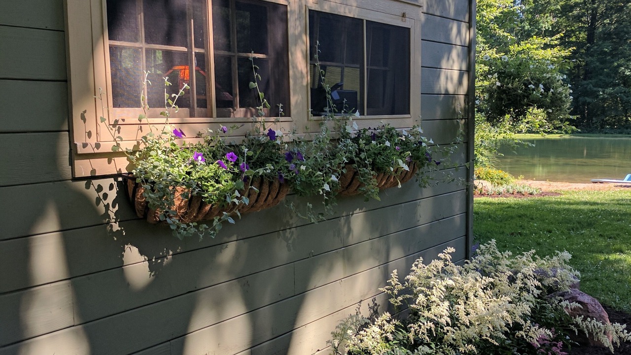 Photo of Outdoor in Wooster