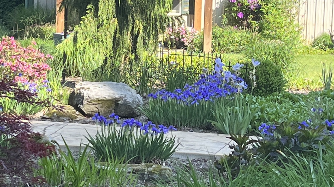 Photo of Outdoor in Blissfield