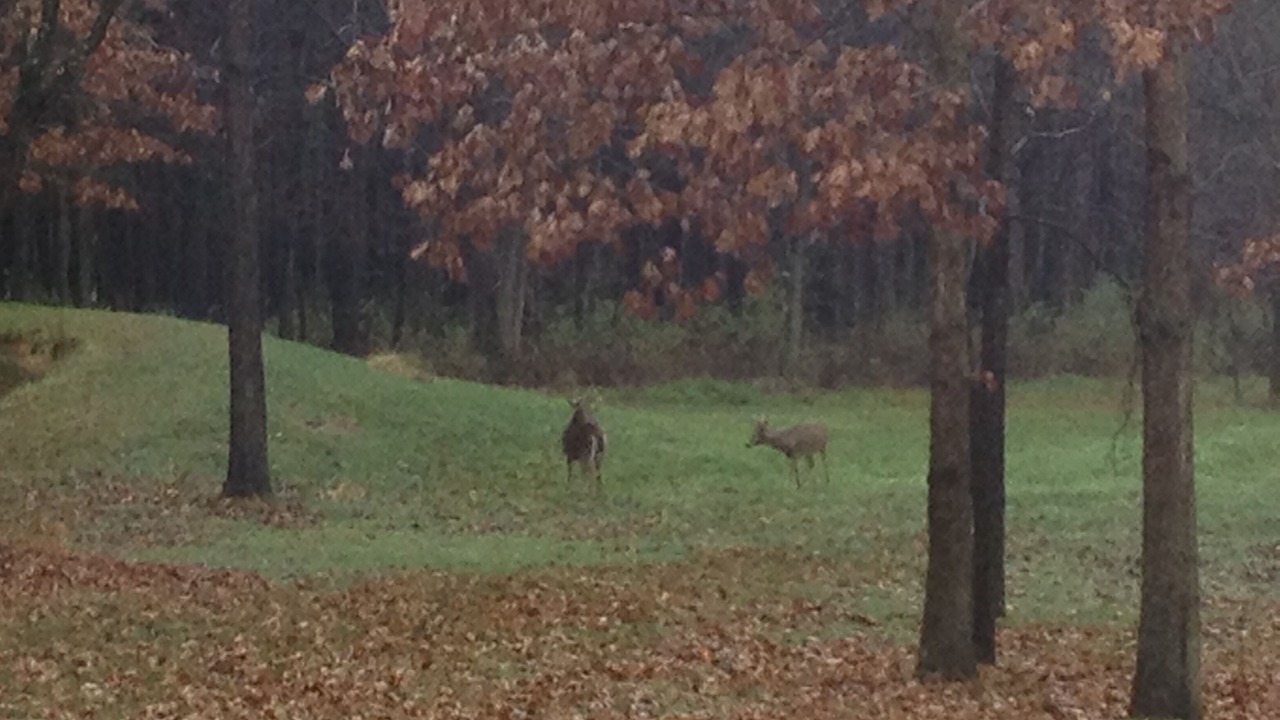 Photo of Others in Blissfield
