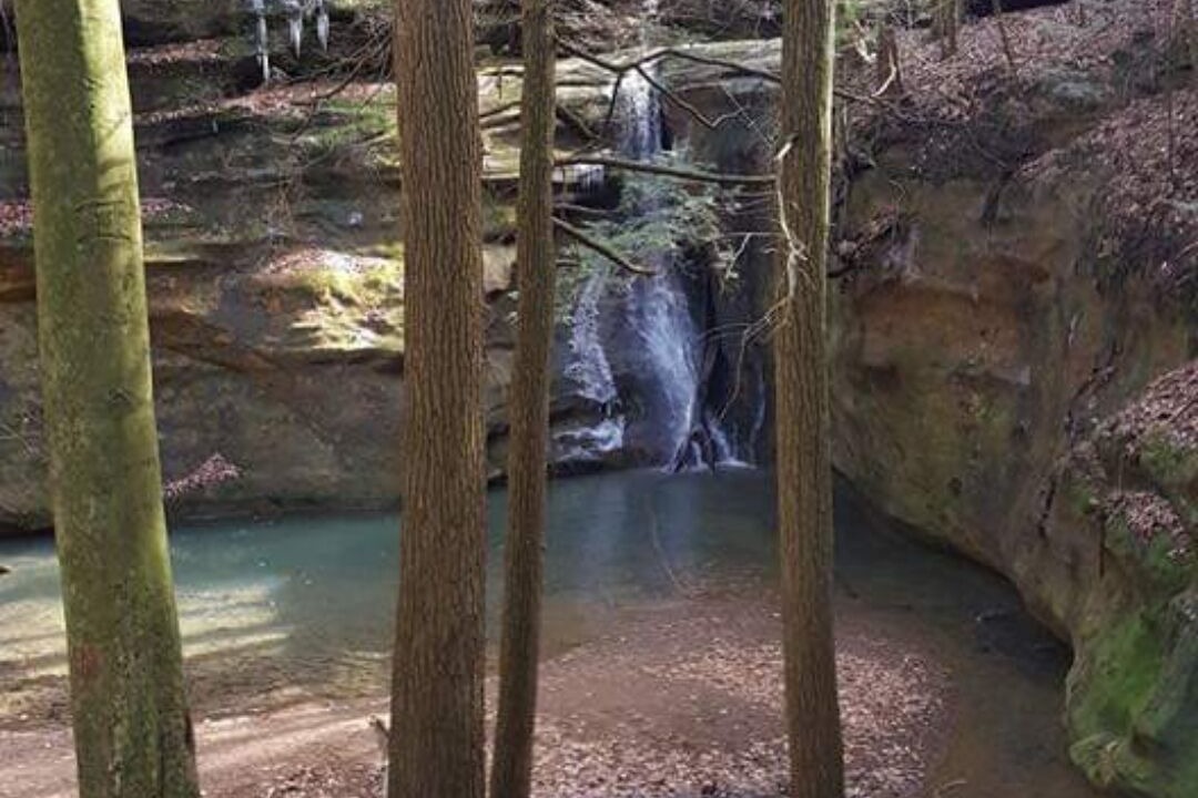 Photo of Others in Sugar Grove