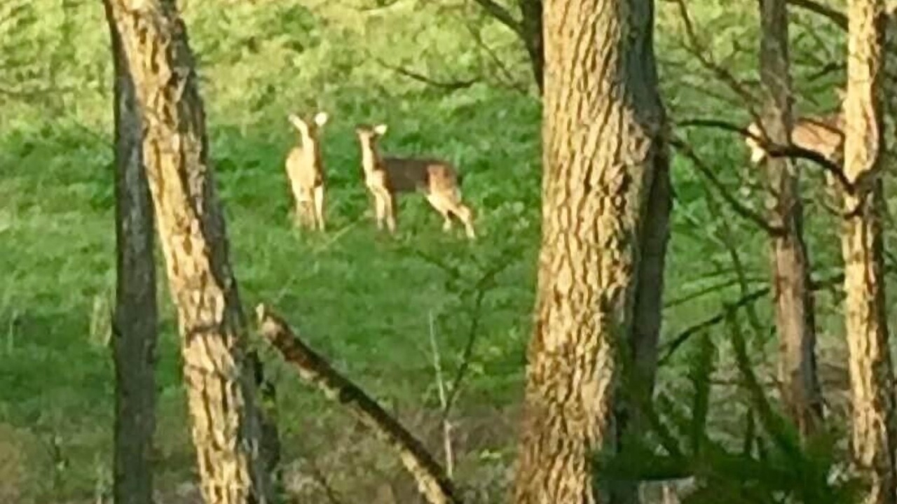Photo of Outdoor in East Fultonham