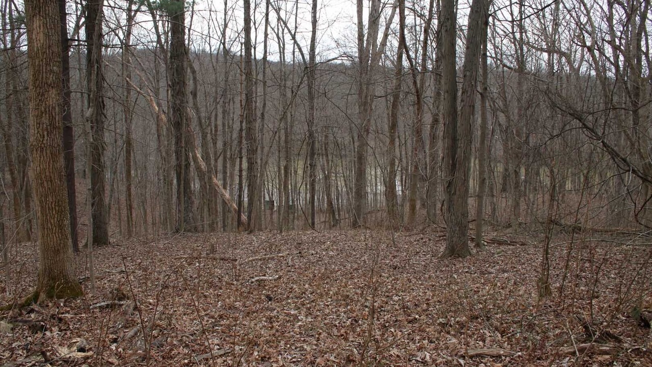 Photo of Outdoor in Glouster