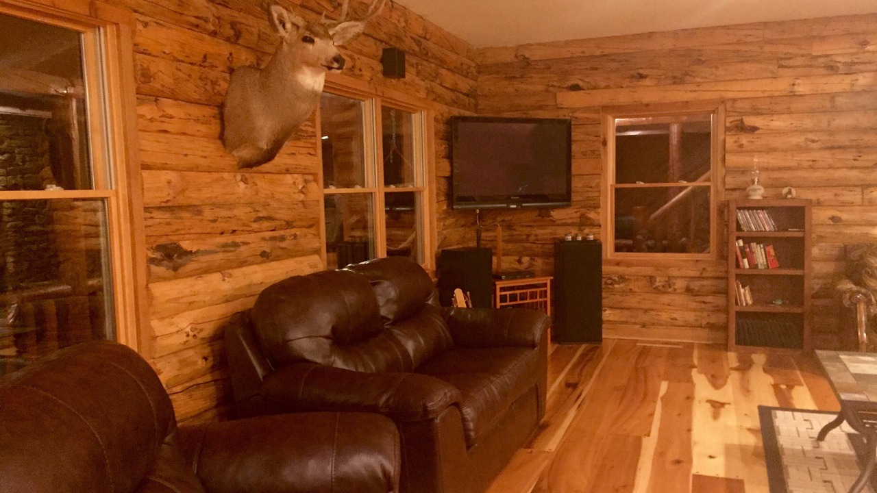 Photo of Livingroom in Cambridge
