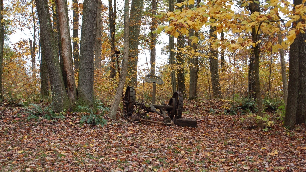 Photo of Outdoor in Kimbolton