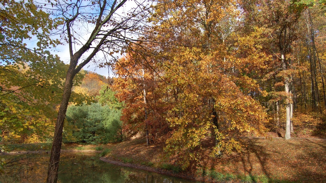 Photo of Outdoor in Kimbolton