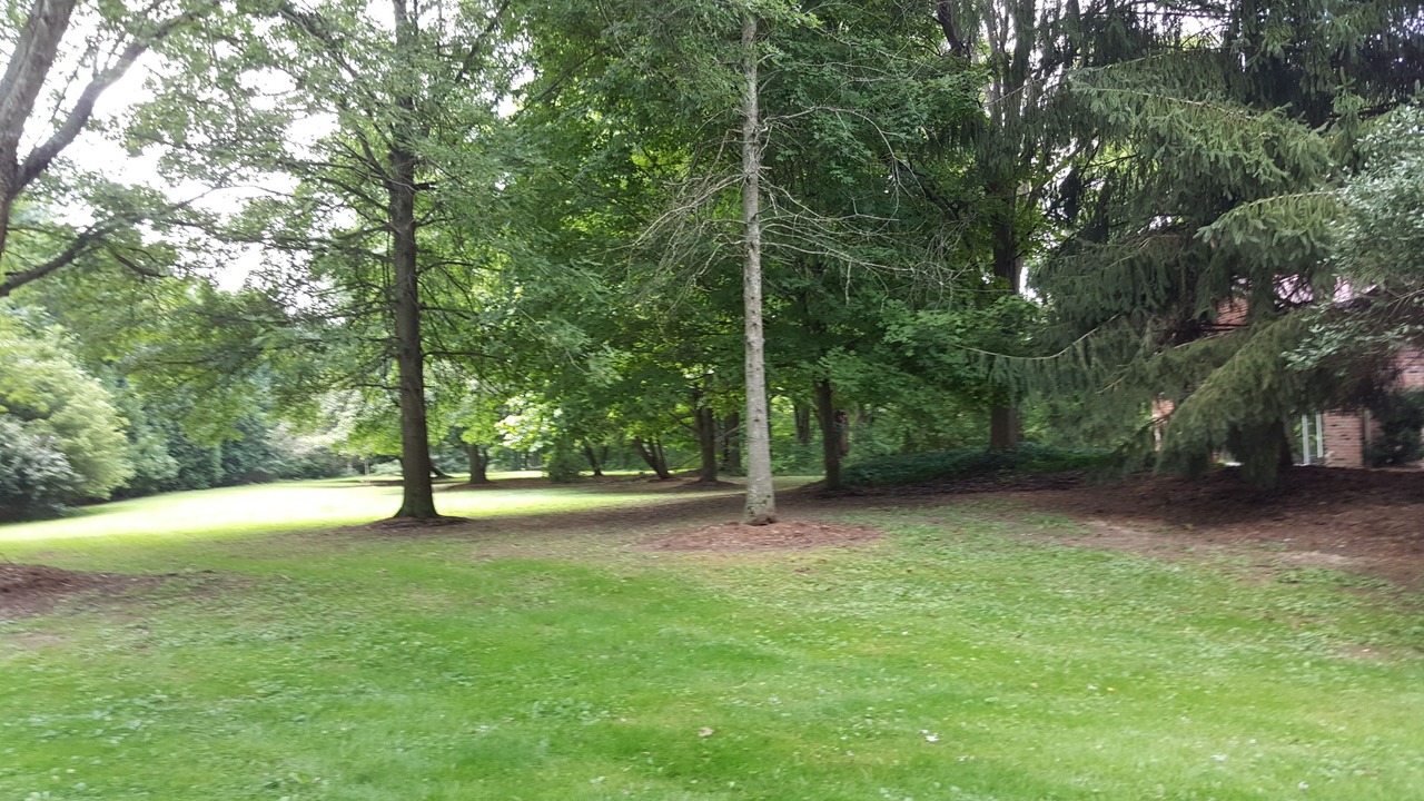 Photo of Outdoor in Homerville