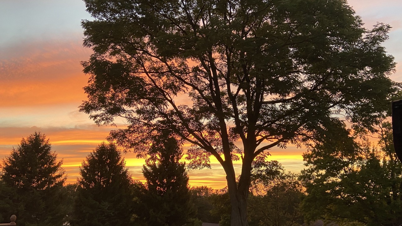 Photo of Outdoor in Bolivar
