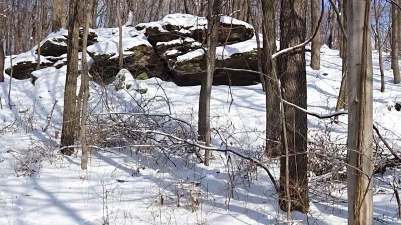Photo of Others in Danville