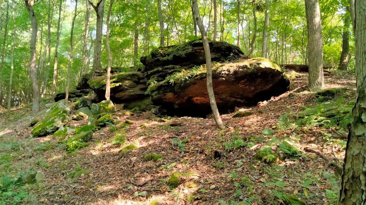Photo of Others in Danville