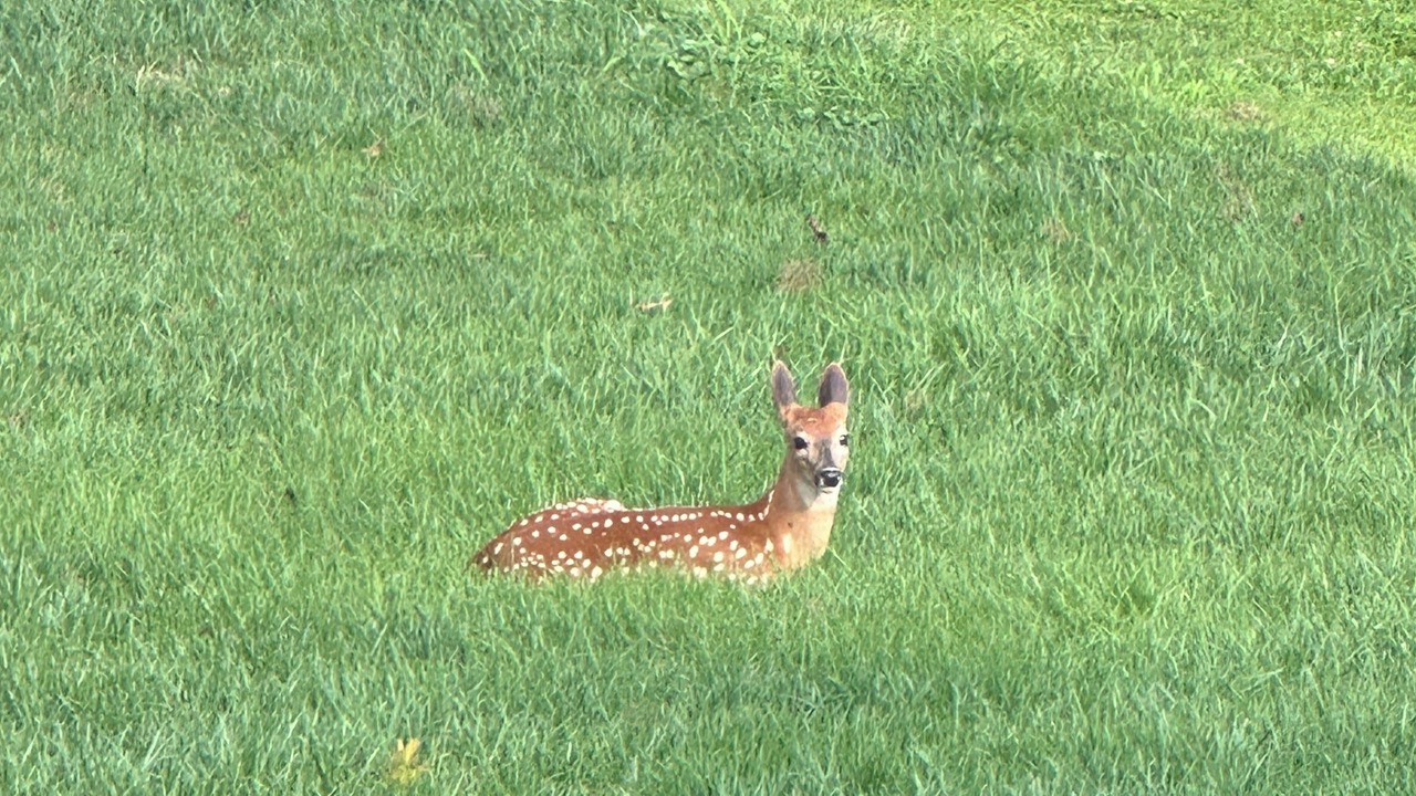 Photo of Others in St. Clairsville