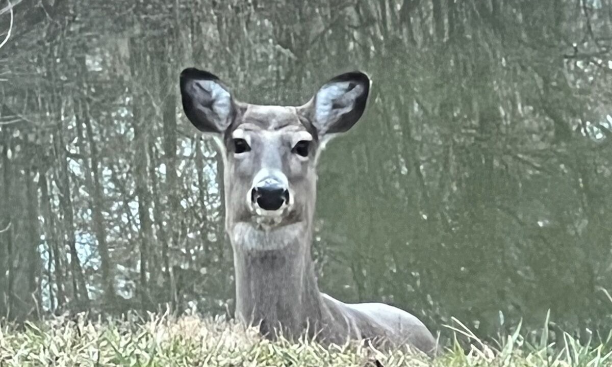 Photo of Others in Senecaville