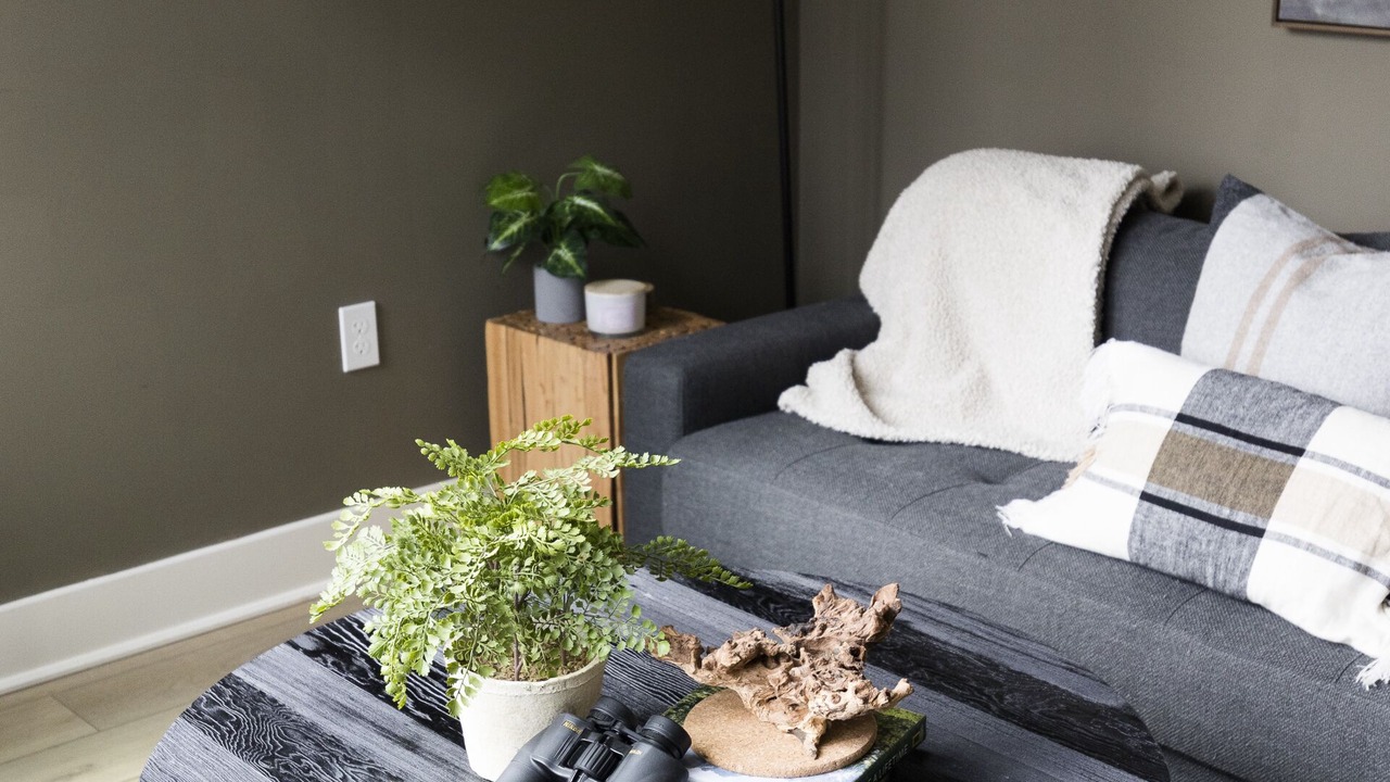 Photo of Livingroom in New Plymouth