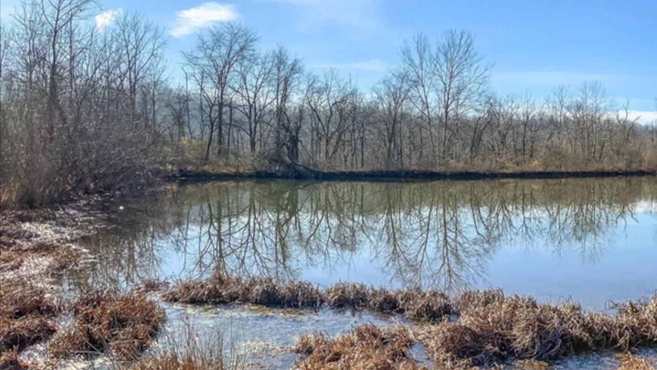 Photo of Outdoor in Chandlersville