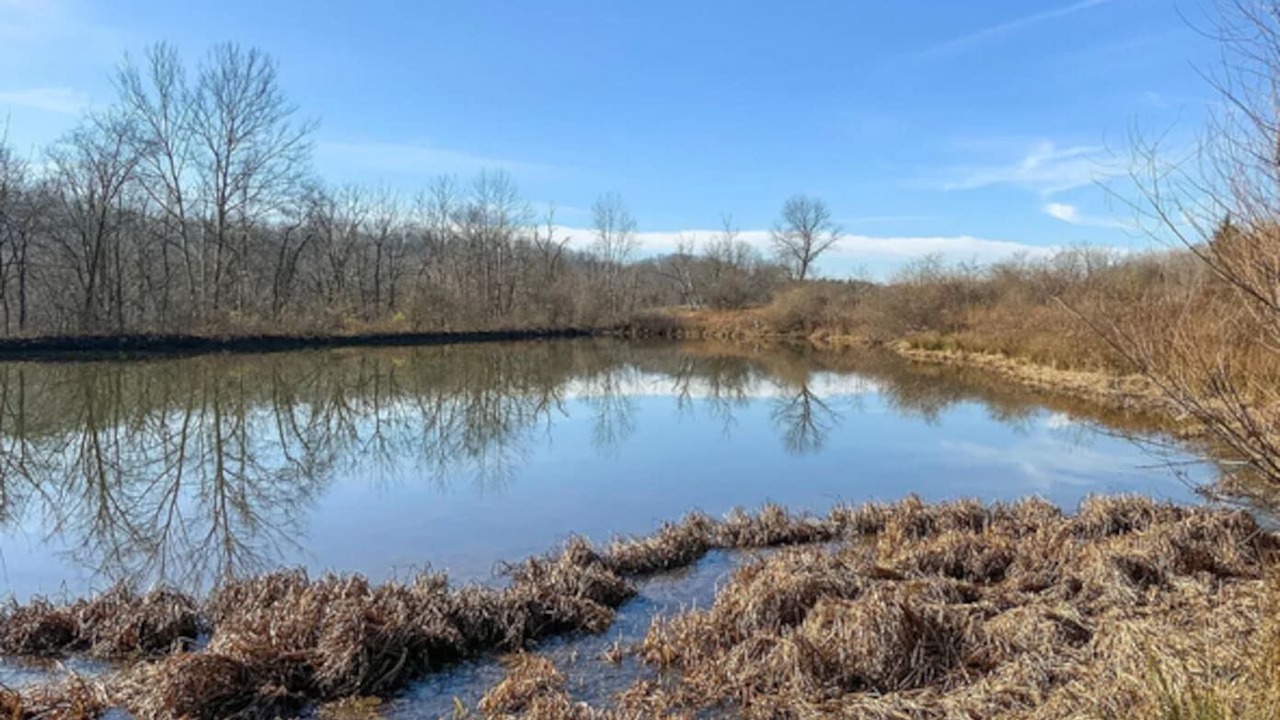 Photo of Outdoor in Chandlersville