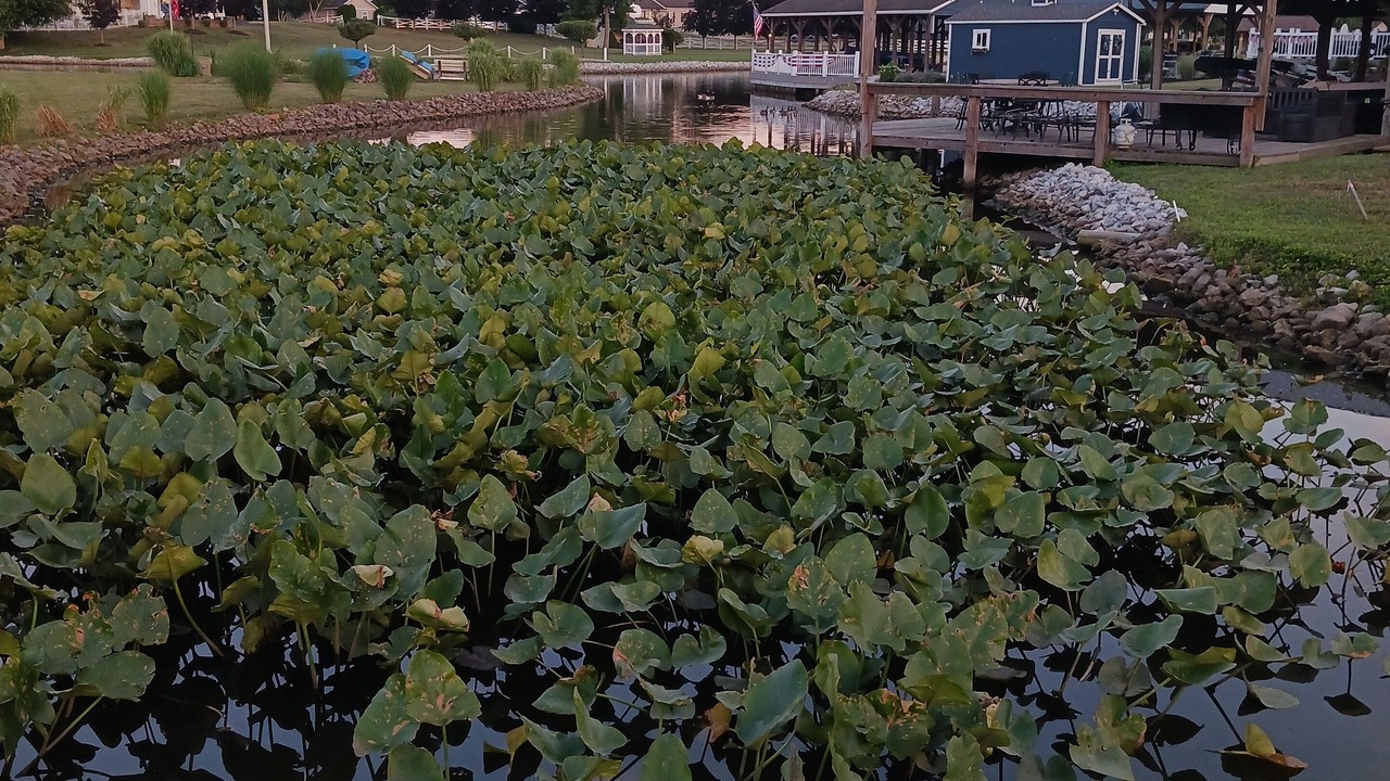 Photo of Others in Nashport