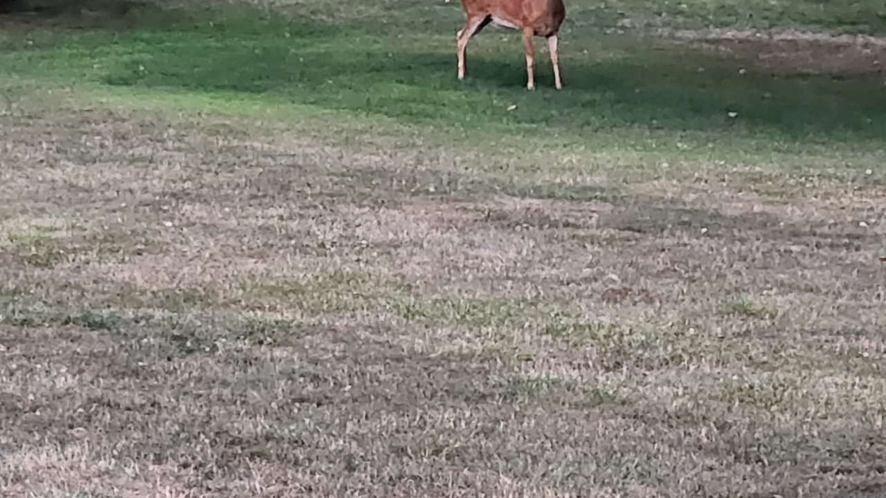 Photo of Outdoor in Freeport