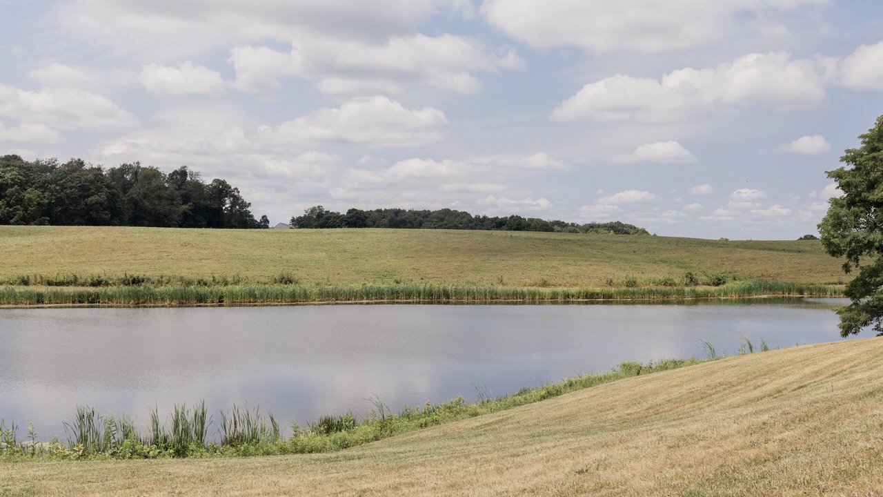 Photo of Outdoor in Freeport