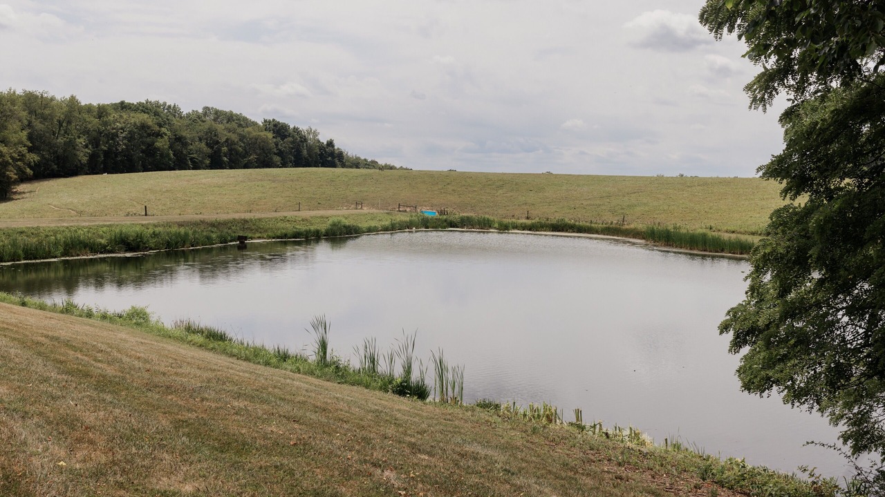 Photo of Outdoor in Freeport