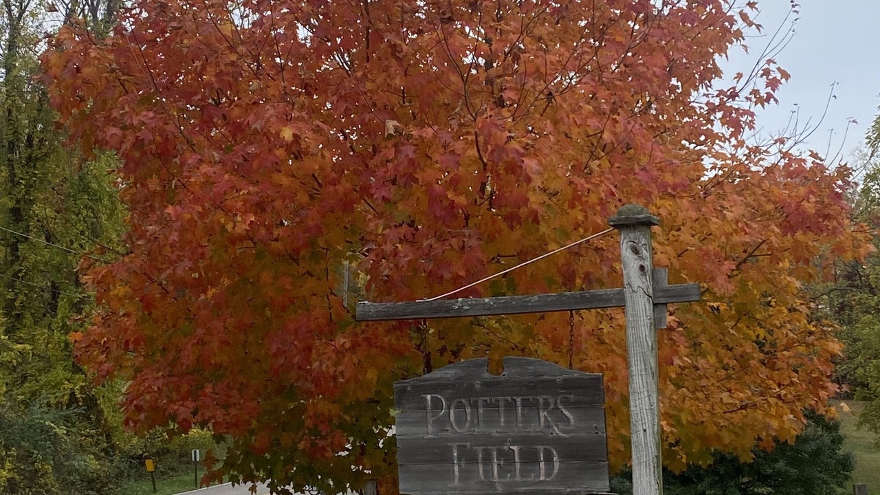 Photo of Outdoor in Granville South