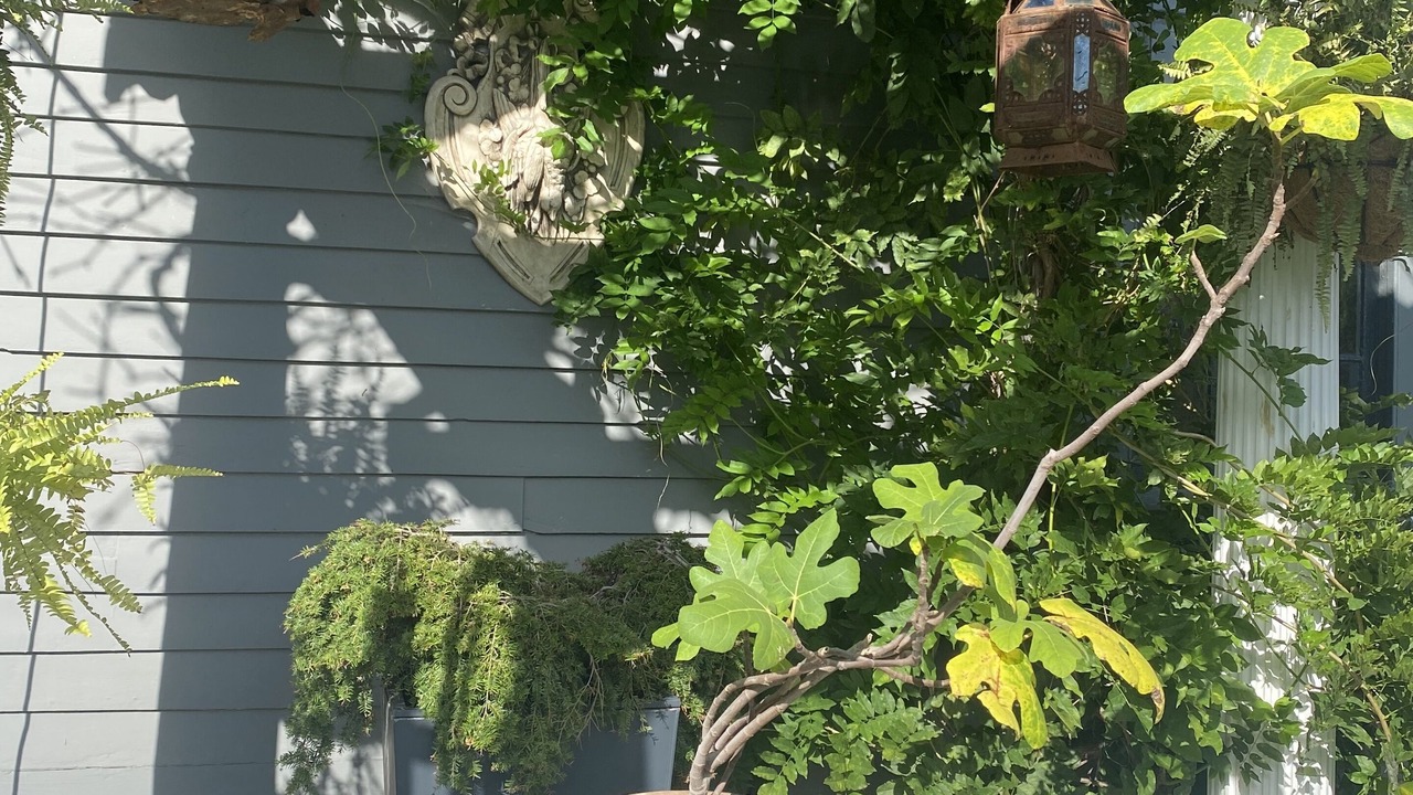 Photo of Outdoor in Granville South