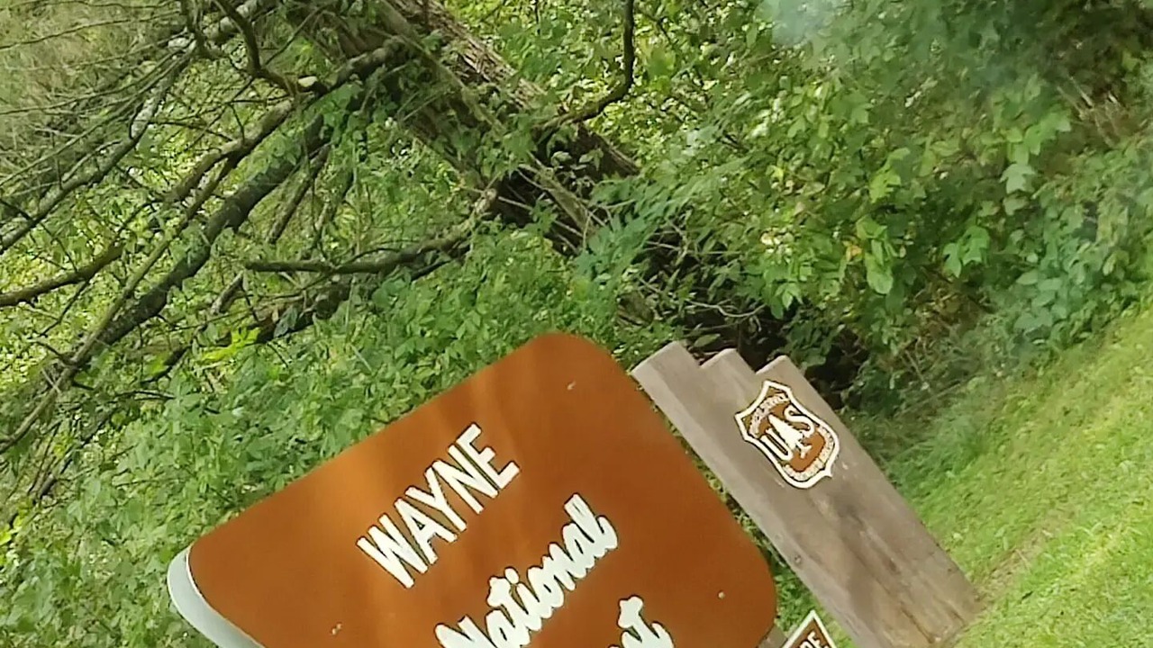 Photo of Outdoor in Wingett Run