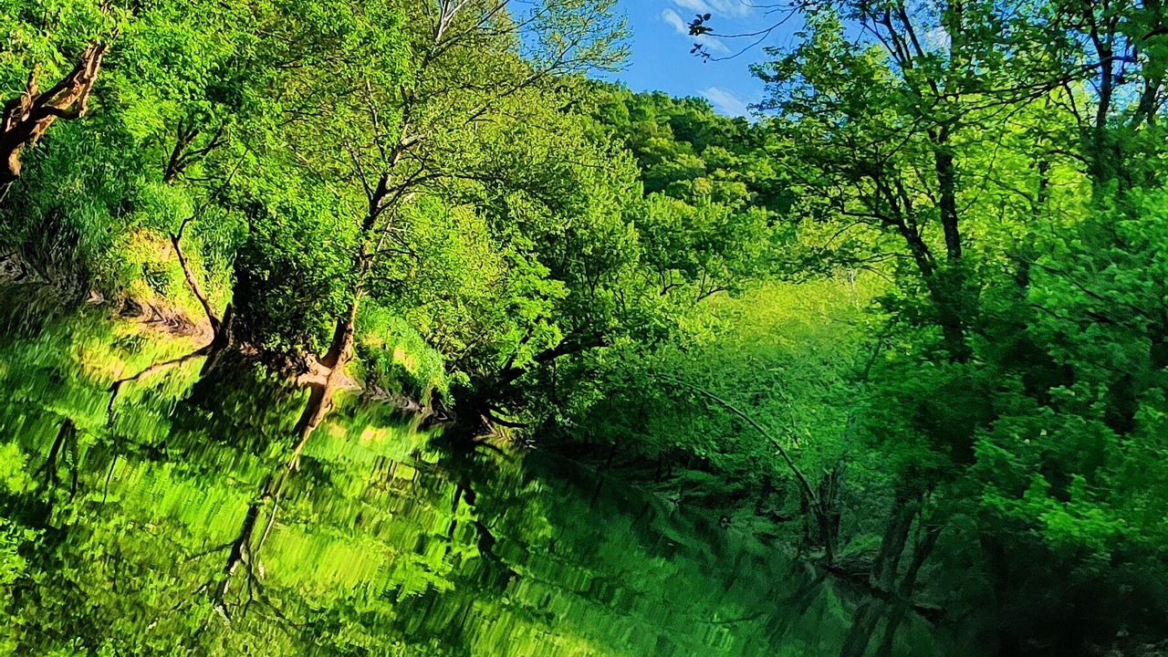 Photo of Others in Wingett Run