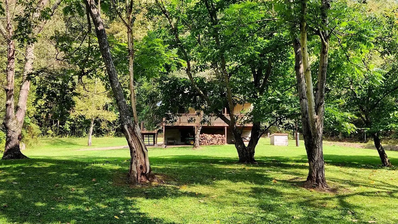 Photo of Outdoor in Wingett Run