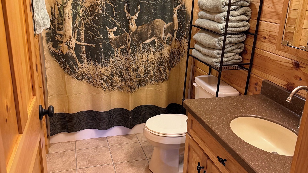 Photo of Bathroom in Sharpsburg