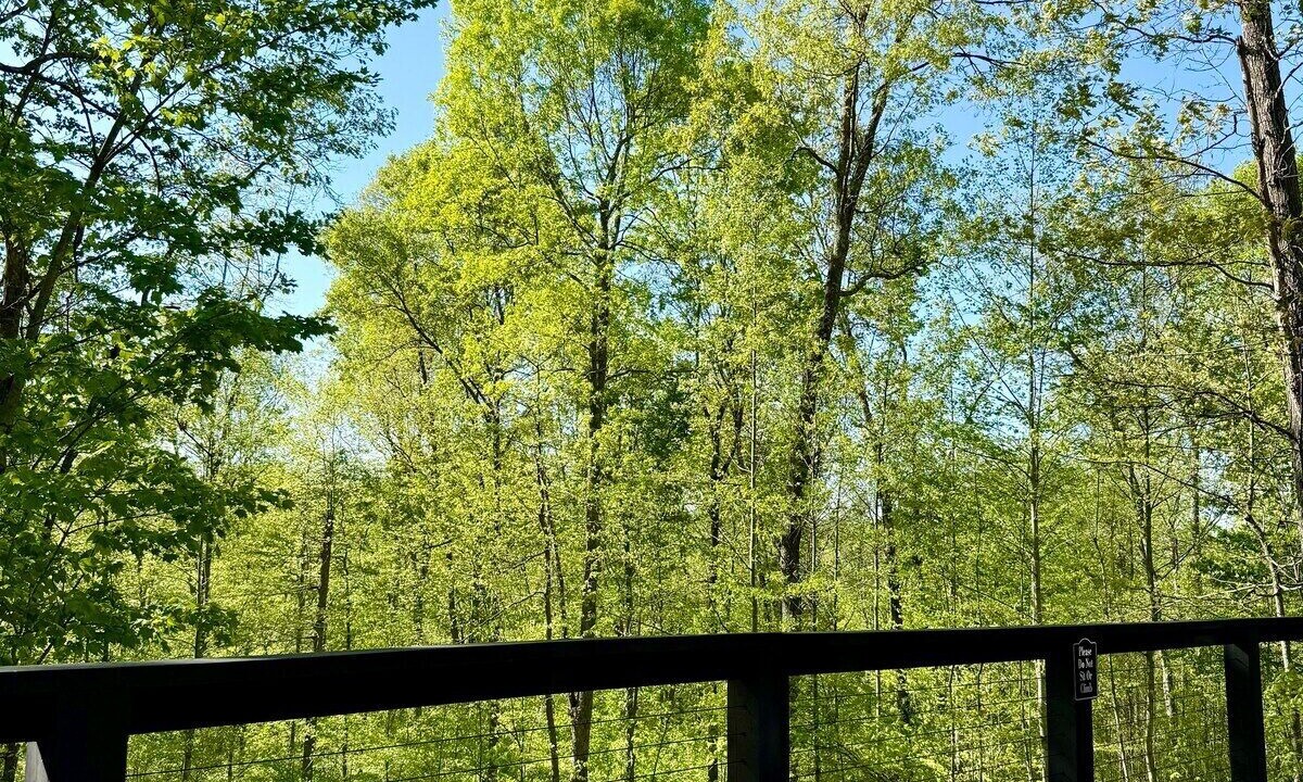 Photo of Patio Balcony in McArthur