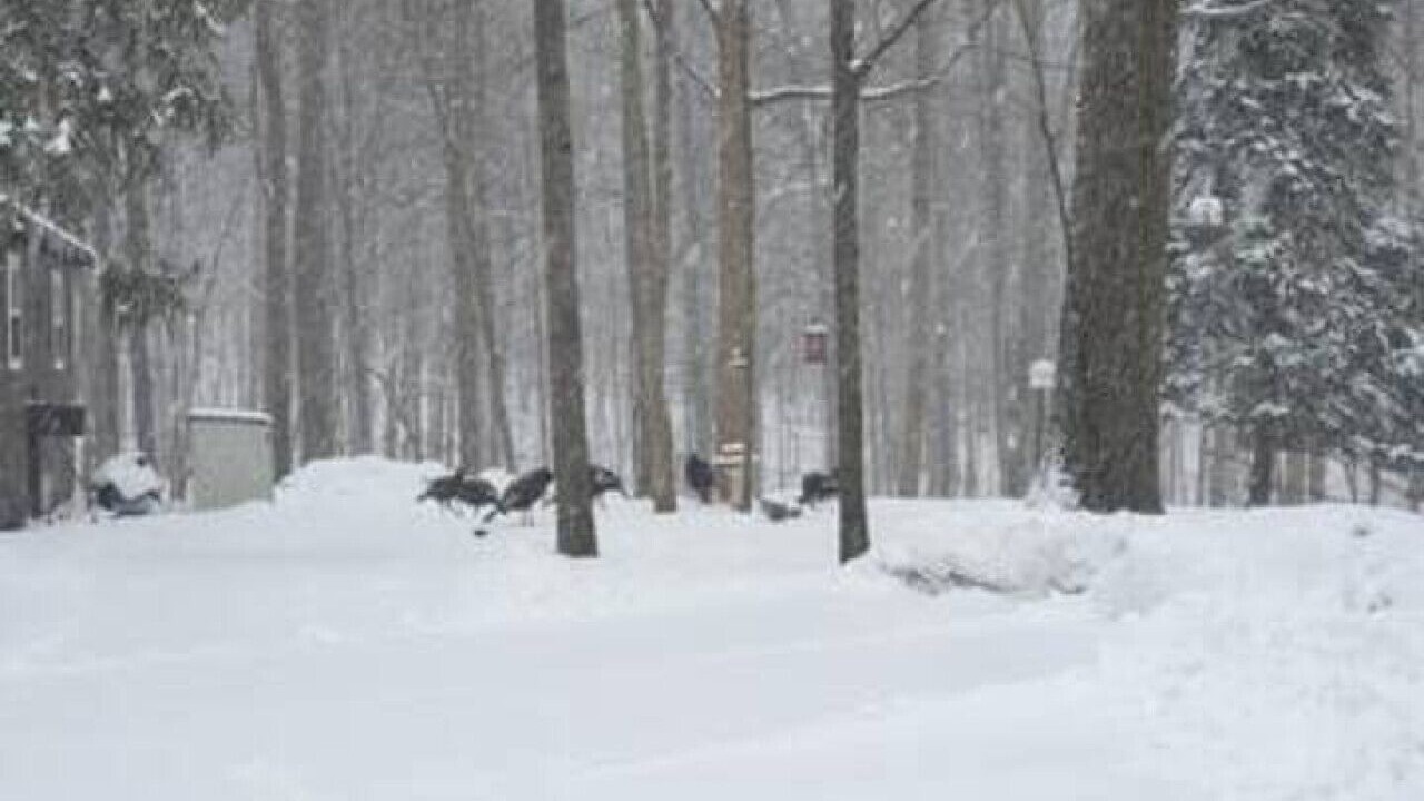 Photo of Others in Streetsboro
