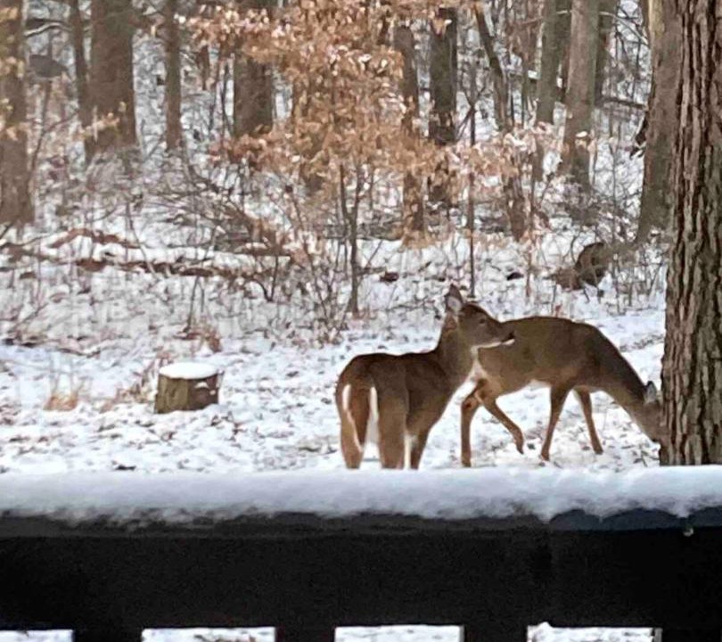 Photo of Others in Rockbridge
