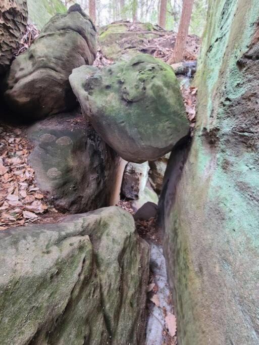 Photo of Others in Rockbridge
