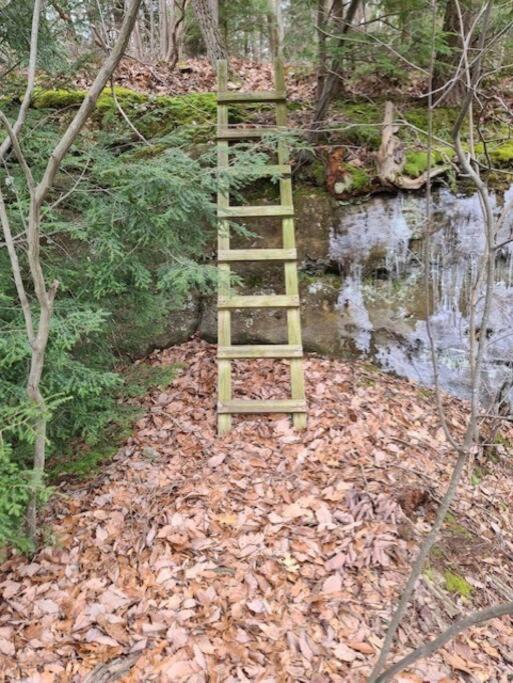 Photo of Others in Rockbridge