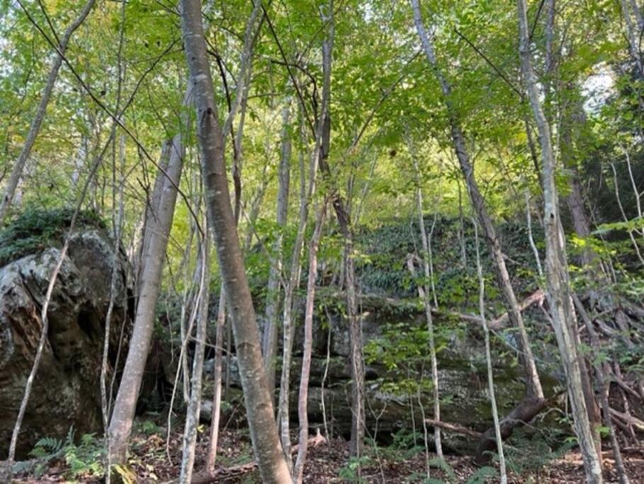 Photo of Others in Rockbridge